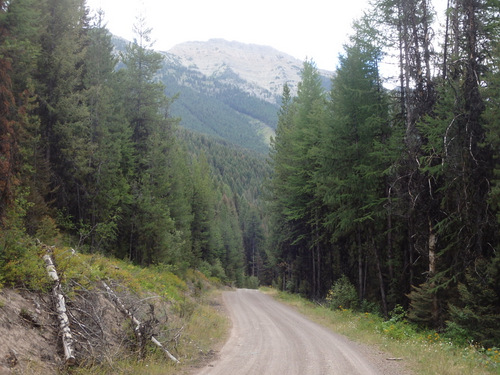 GDMBR: Southbound on NF-4370 (heading toward Richmond Peak, MT).